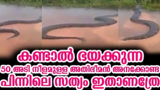 കണ്ടാൽ ഭയക്കുന്ന 50 അടി നീളമുള്ള അതിഭീമന്‍ അനക്കോണ്ട പിന്നിലെ സത്യം ഇതാണത്രേ | What A Anaconda