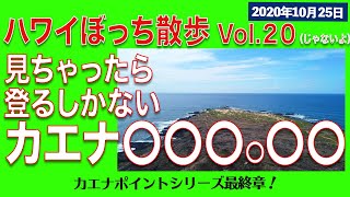 4K【ハワイ散歩】番外編 カエナ〇〇〇〇〇〇。見たら行くしかないでしょ！