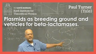 Plasmids as breeding ground and vehicles for beta-lactamases. ▸ Paul Turner (Yale)