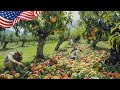 How American Farmers Produce Billions Of Peaches - Amreican Farming