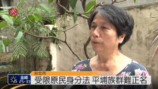 平埔正名路坎坷 原民會朝修身分法 2014-06-27 TITV 原視新聞