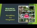 Ecological Restoration #ecosystem #environment #nature #ecologicalrestoration