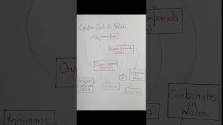 Carbon cycle in nature