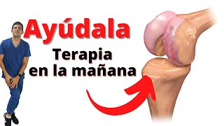 Tenia dolor de rodilla por el desgaste