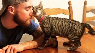 Cat and Owner Are Totally Soul Mates, No doubt about it!  - Sweet Moments Cat and Owner