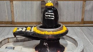 24/12/2024 mahadev today's shandhya arti Darshan.  Jay mahadev #shots #youtube.