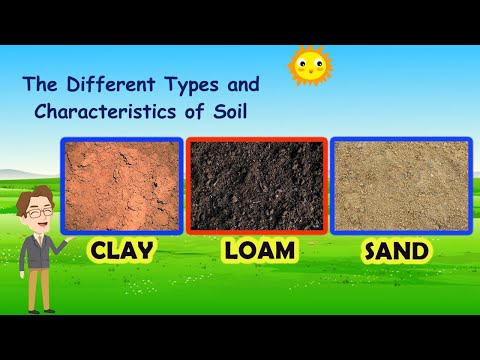 What are the 4 kinds of soil?