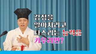 1720강 자신에게 일어나는 감정을 알아차리고 다스리는 능력을 키우려면? [도원(道圓)대학당 강의]