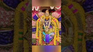 #மஹா கந்த சஷ்டி விரதம் 2024 #சஷ்டி #trending #murugan #om  #shorts #youtube #viral #devotional #lord