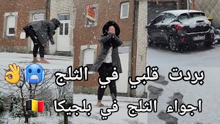 أجواء الثلج في بلجيكا 🇧🇪 بردت قلبي اليوم فالثلج 🥶👌👌ناس كامل فالدار وانا هاملة برى 😜