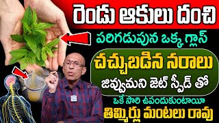 రెండు ఆకులు దంచి.. నరాల బలహీనత తగ్గుతుంది | Nerve Week Ness | Madhusudhana Sharma | iDream Helath