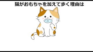 9割が知らない猫とおもちゃに関する雑学#雑学 #1分間