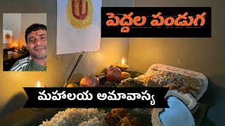 Indian groceries for Peddala Panduga | Mahalaya Amavasya | USA Telugu Vlogs | America Telugu Vlogs