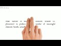 the characteristics of human language meg 4 aspects of language hindi english