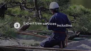Tree Trimming Cost by Truco Services Inc