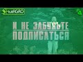 500 г НА ВЕДРО ВОДЫ и нет проблем в саду. Чем обработать сад весной. Сроки весенней обработки сада.