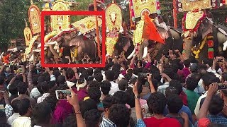 CHIRAKKAL KALIDASAN MASS ENTRY തെച്ചിക്കോട്ട് രാമചന്ദ്രൻ ROCKS MUST WATCH FULL VIDEO!!!