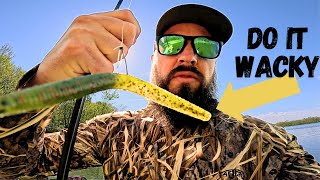 Slow and Wacky Wins the Race! (Spring Fishing)