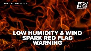 Red Flag Warning: Drought, low humidity and strong winds raise wildfire risk in Florida
