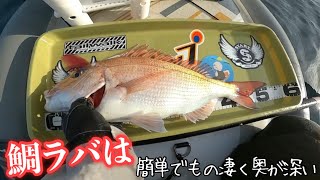 山陰(SUP)鯛ラバ さすが日本海のポテンシャル！！