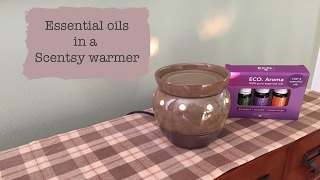 Essential oils in a Scentsy warmer!