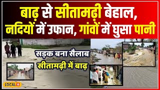 Bihar Flood: सीतामढ़ी में बाढ़ से तबाही ! टूटा पुल, गांवों में पानी घुसा |  Flood Update   #local18