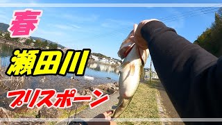 【バス釣り】春到来！瀬田川2㎏オーバー捕獲！【オカッパリ】