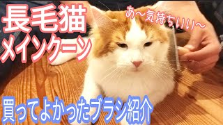 【買ってよかった猫ブラシ】長毛猫におすすめで意外に安い