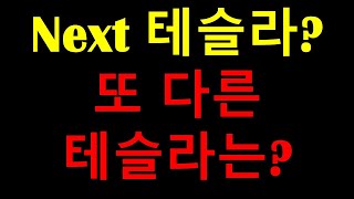 Next 테슬라? 또 다른 테슬라를 찾아서... 과연 어떤 기업이 다음의 테슬라가 될까? 그것을 안다면 반드시 투자해야 한다!