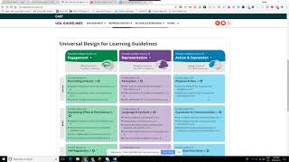 Universal Design for Learning (UDL) Guidelines - Intro Lecture by Danny Maas