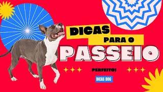 5 Dicas para um passeio perfeito - Veja aqui!