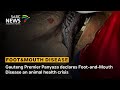 Gauteng Premier Panyaza declares Foot-and-Mouth Disease an animal health crisis