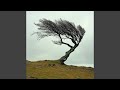 Invisible Tides (Wind)