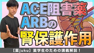 【症例問題対策】ACE阻害薬とARBの「腎保護作用」機序について解説！薬剤師国家試験