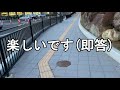 【オタクvlog】刀ミュの宮城公演は涙と感動と大事件の結晶体の遠征