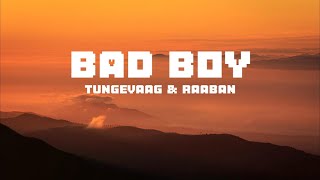 Tungevaag & Raaban - Bad Boy (Lyrics) #tungevaag