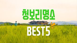 국내 여행지 청보리 명소 BEST 5 경주 함안 보령 고창