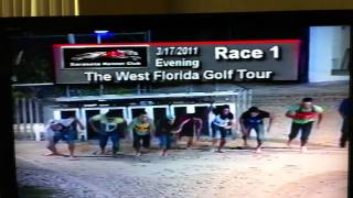 West Florida Golf Tour race at the Sarasota Kennel Club