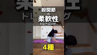 股関節の柔軟性UPトレーニング #shorts #カポエイラ