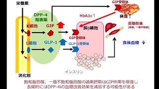 【DPP4阻害薬が効きにくい人】脂肪酸摂取と薬の意外な関係【糖尿病】