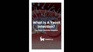 What Is A Yeast Infection?