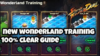 NEW WONDERLAND TRAINING 100% Clear Guide Street Fighter Duel