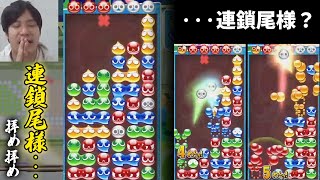 【迷実況集】連鎖尾を拝むDIO【ぷよぷよ】