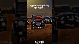 #කටු කන්න බැරි උන්ට මල් දෙන්න # trnding #viral #