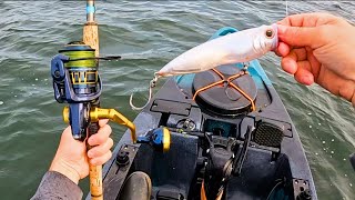 Topwater Fishing BIG Plugs For Aggressive Fish