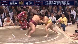 Mitakeumi vs Endo Mar 19 2019