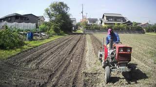 田植えまであと1か月、草も生えて耕運。両端溝付けと平盛で排水性違い確認します。