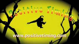 Positive Timing 2010 Promo