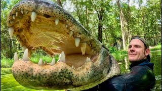How To Use Your Magic Stick With Gators