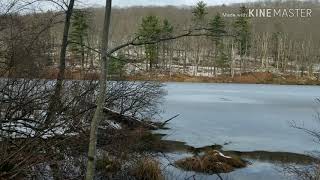 Appalachian Trail, MA 23-Benedict Pond, Mass., 4 miles (Out \u0026 back) 11/19